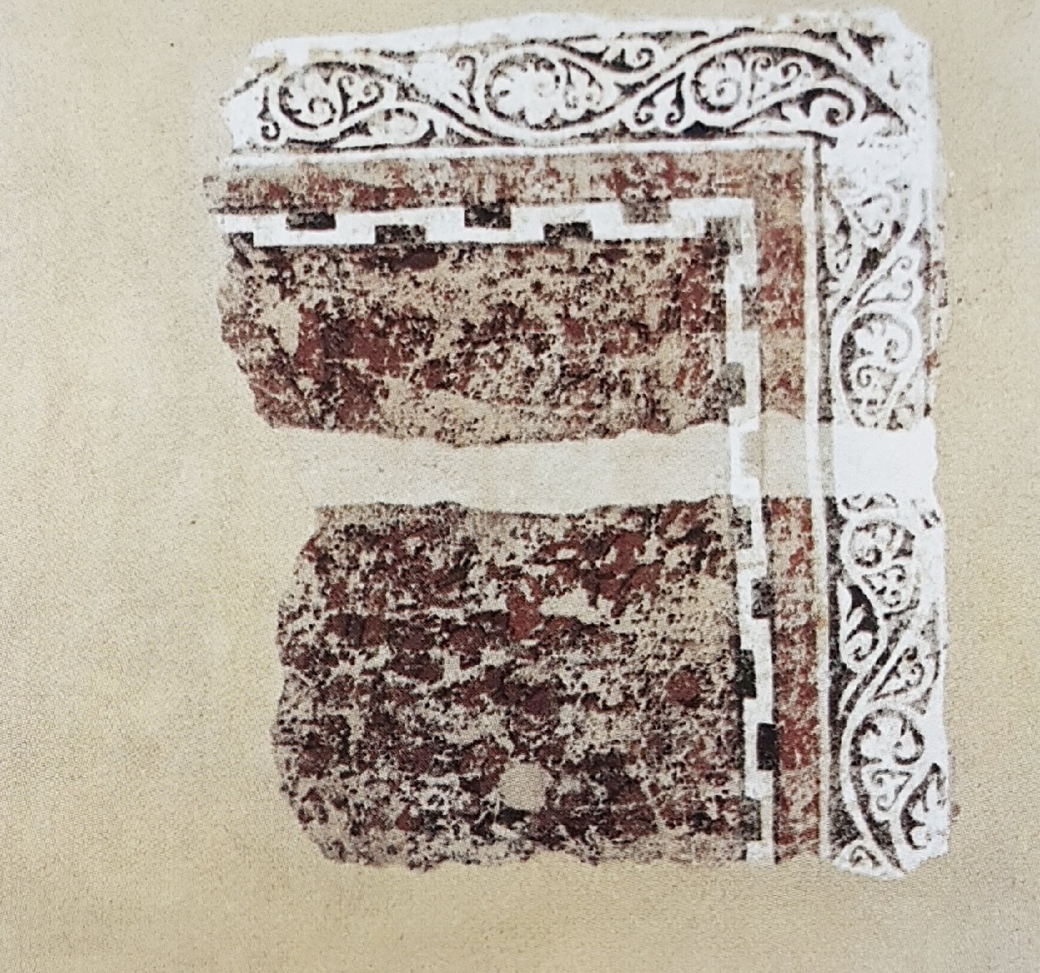 motivi decorativi vegetali (dipinto, frammento) - ambito volterrano (fine/ inizio secc. XII/ XIII)