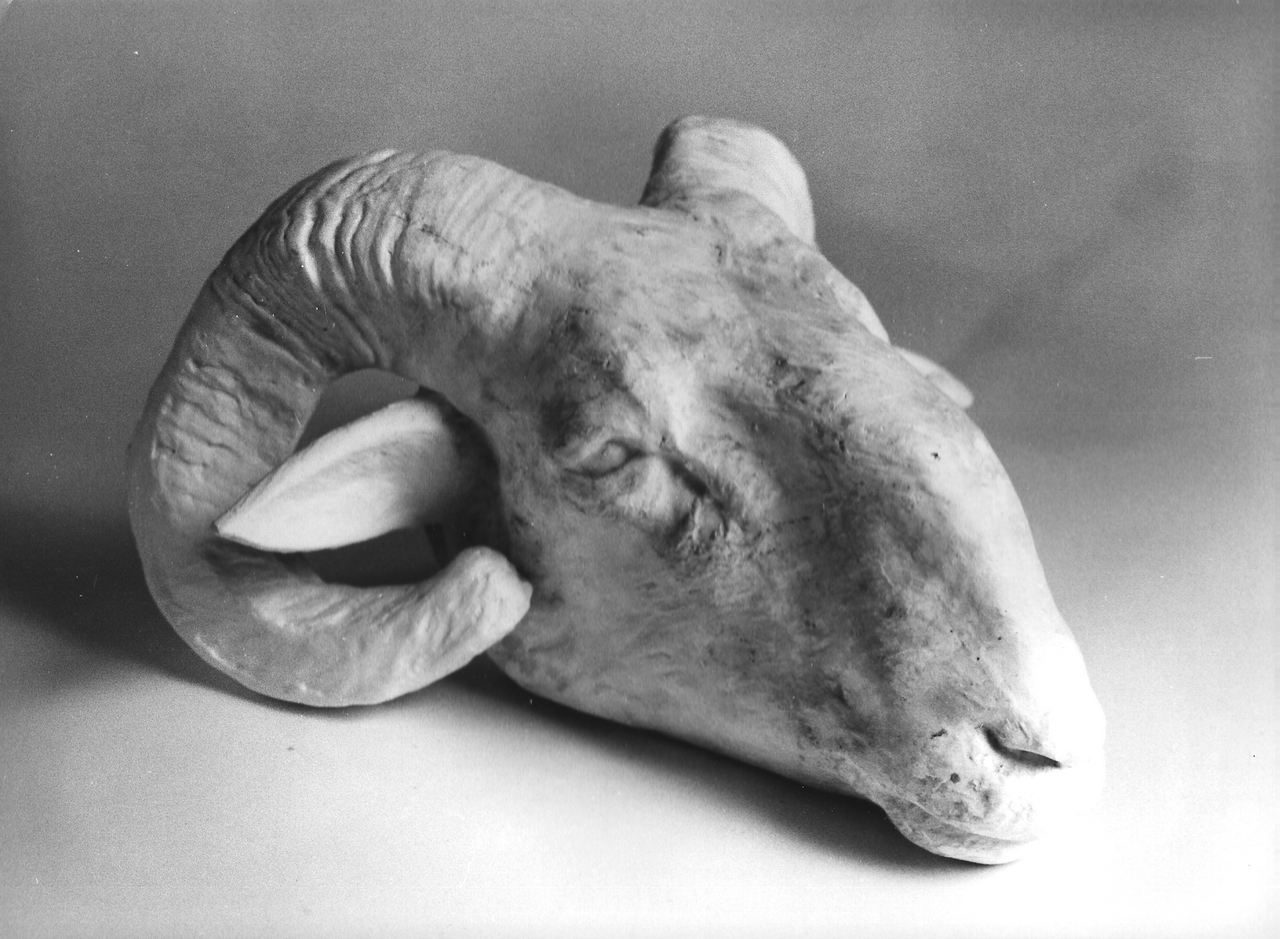 testa di ariete (calco, opera isolata) - produzione coreglina (sec. XIX)