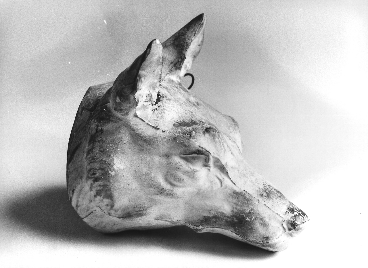 testa di lupo (calco, opera isolata) - produzione coreglina (fine sec. XIX)