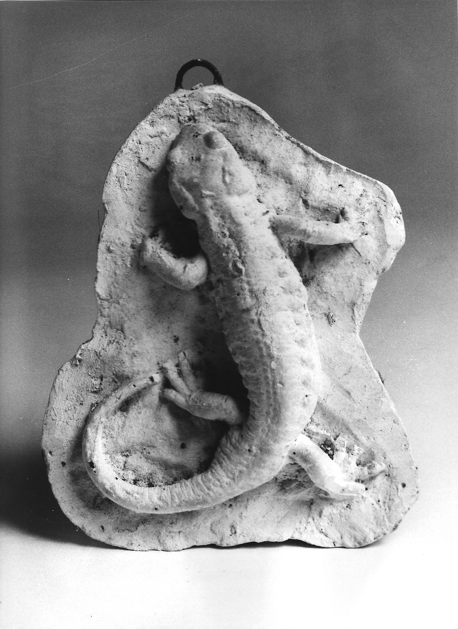 salamandra (calco, opera isolata) - produzione coreglina (fine/ inizio secc. XIX/ XX)