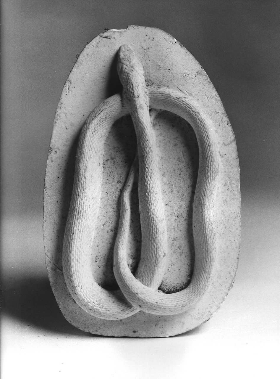 vipera (calco, opera isolata) - produzione coreglina (prima metà sec. XX)