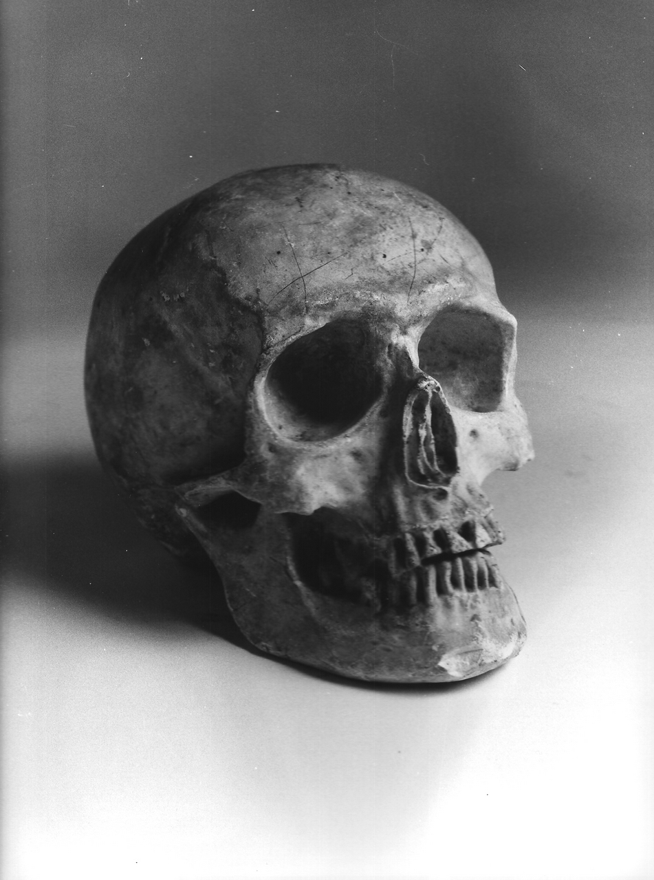 teschio (calco, opera isolata) - produzione coreglina (fine sec. XIX)