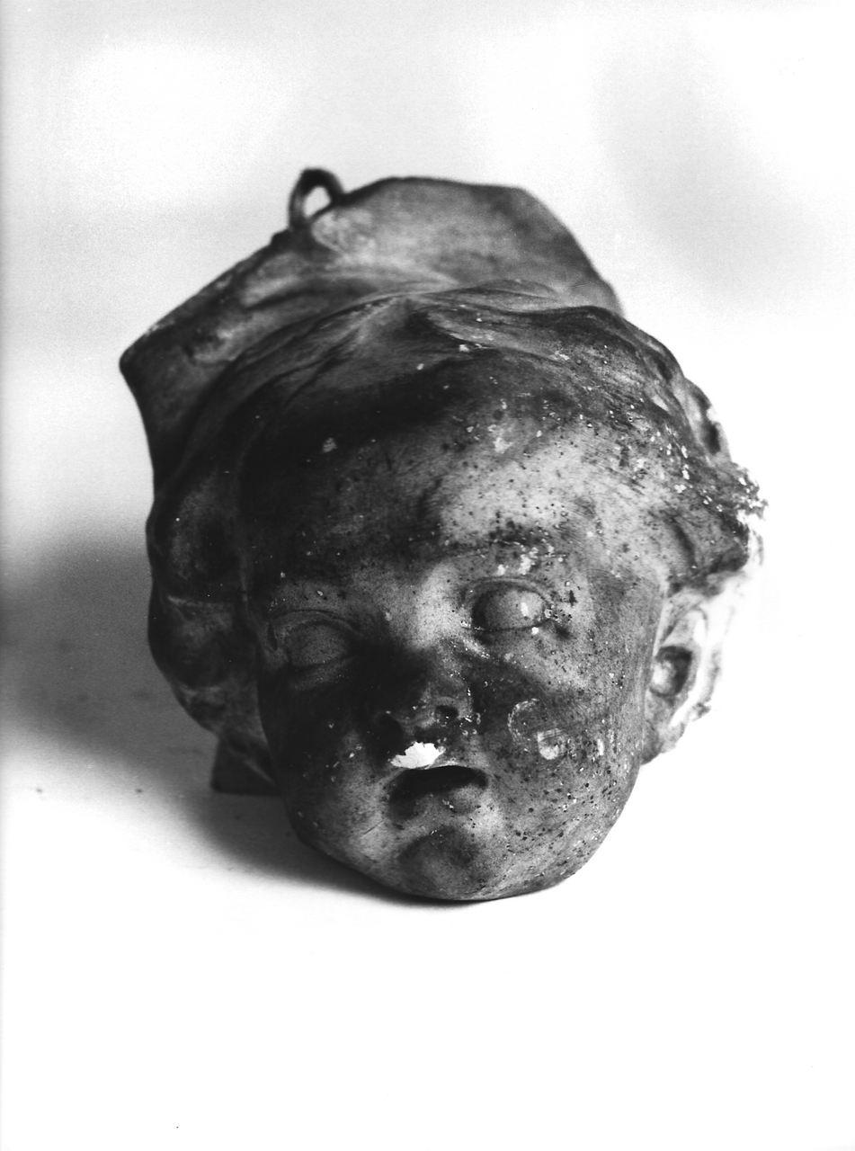 testa di putto (calco, opera isolata) - produzione coreglina (fine sec. XIX)