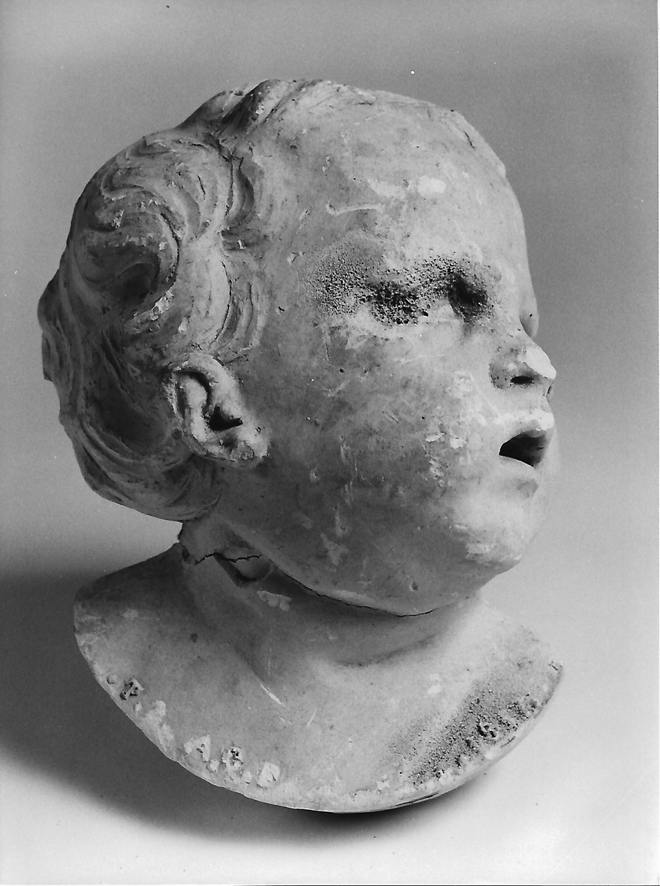 testa di putto (calco, opera isolata) - Bottega tereglina (sec. XIX)