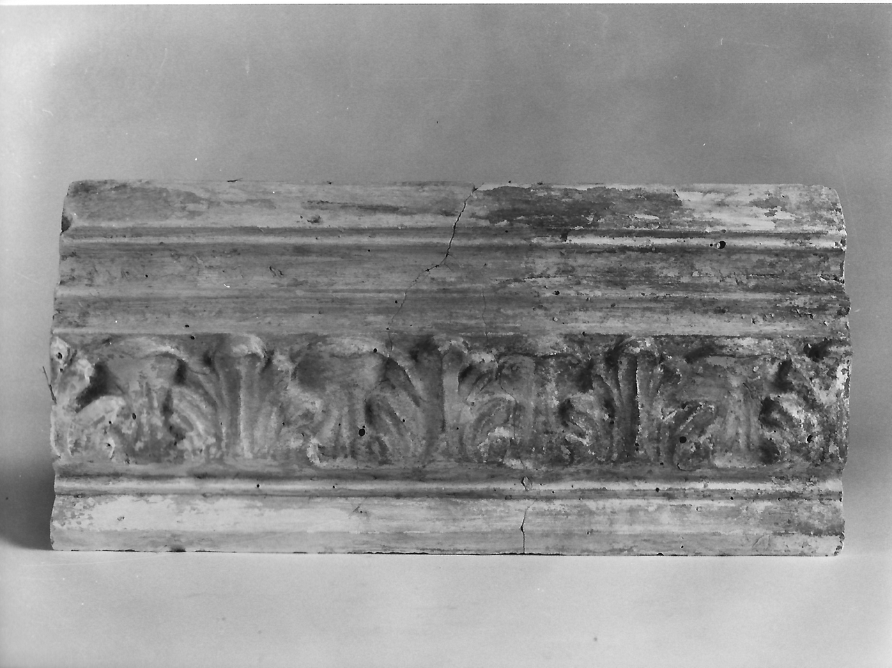 motivo decorativo con foglie d'acanto (calco, serie) - produzione coreglina (fine sec. XIX)