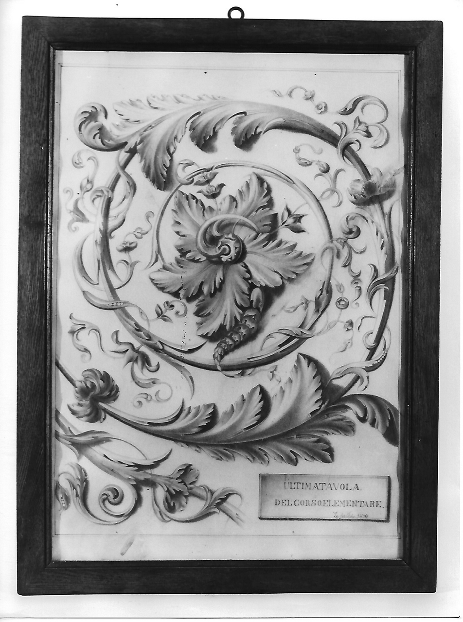 motivi decorativi con tralci di foglie d'acanto (disegno, opera isolata) - produzione coreglina (sec. XIX)