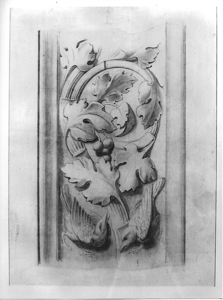 motivo decorativo vegetale e animale (disegno, opera isolata) - produzione coreglina (secc. XIX/ XX)