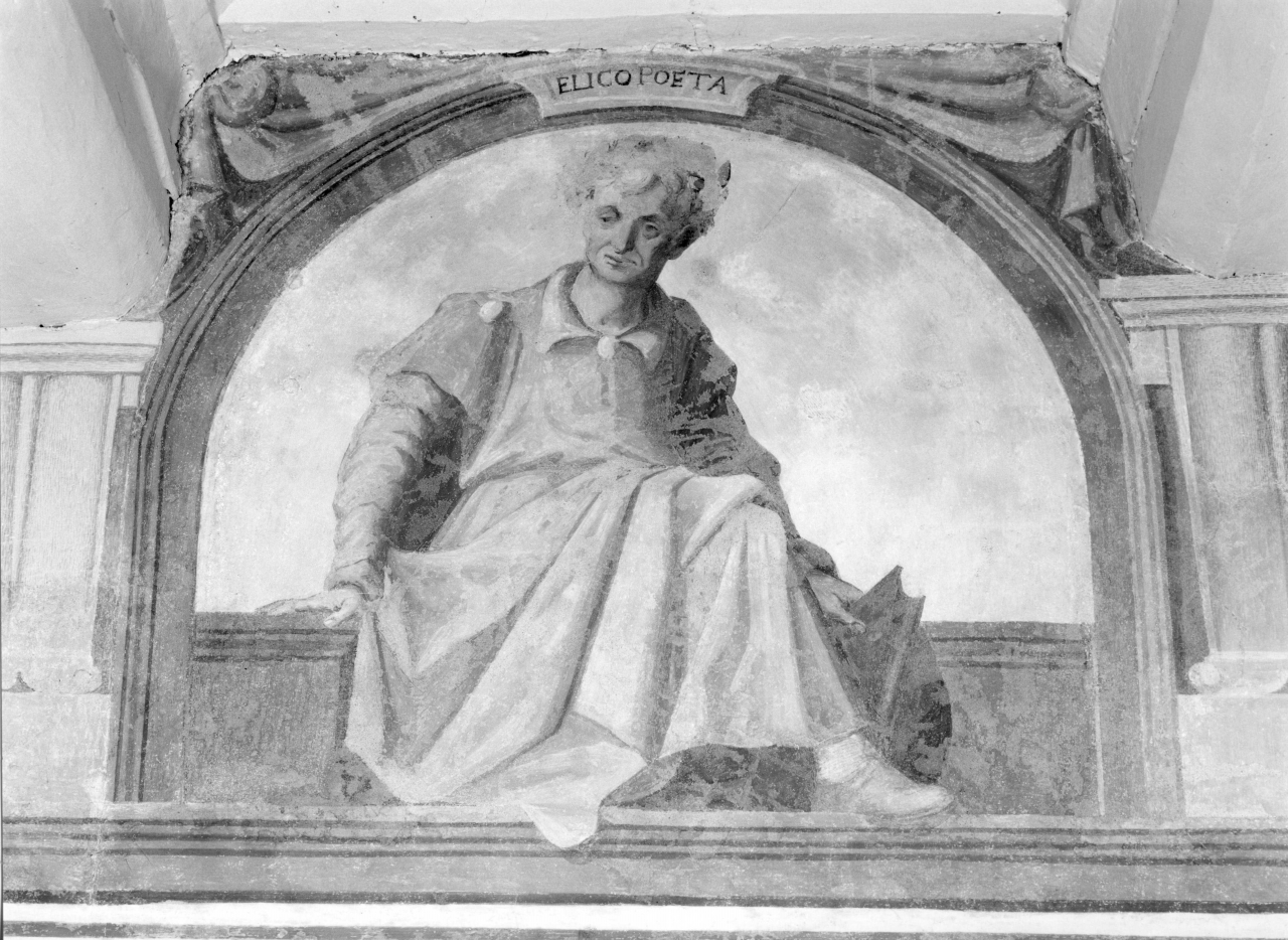 Elico (dipinto murale, complesso decorativo) di Gheri Cosimo (sec. XVI)