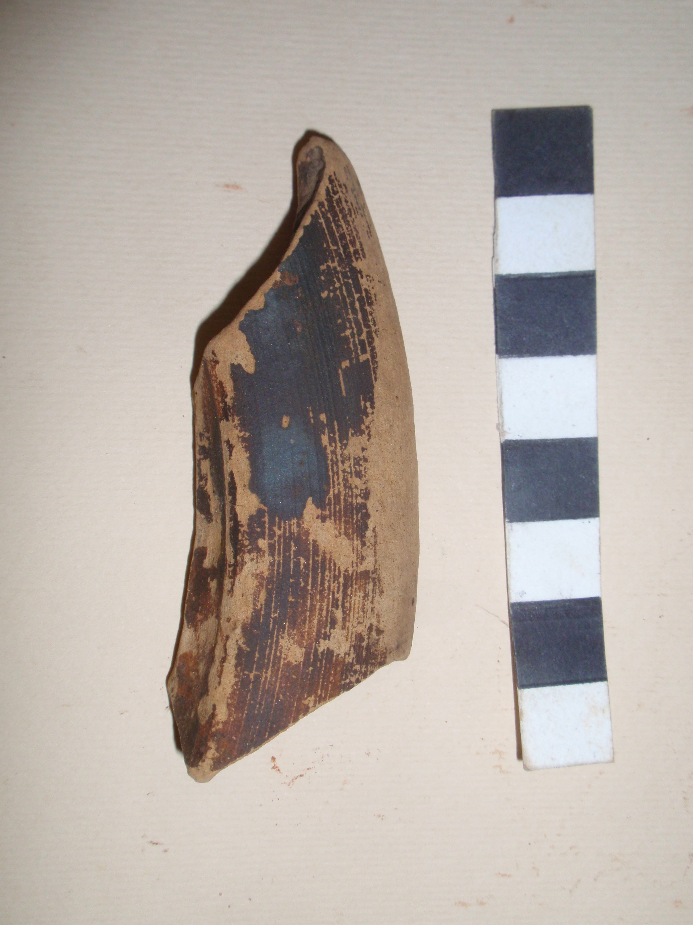piatto, Morel 1312 - Produzione ceramica a vernice nera (fine III a.C)