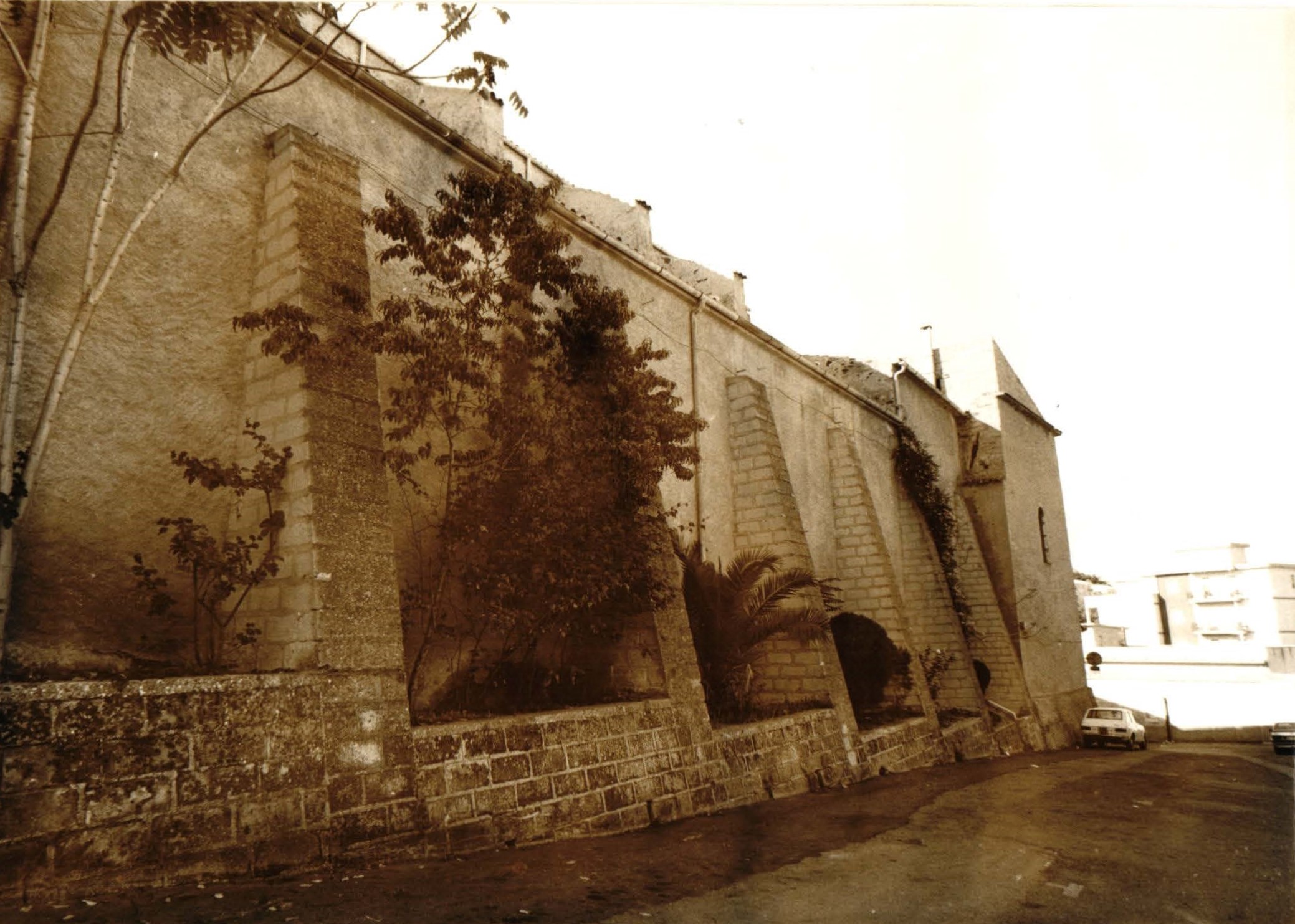 Biblioteca comunale (biblioteca, comunale, pubblica)