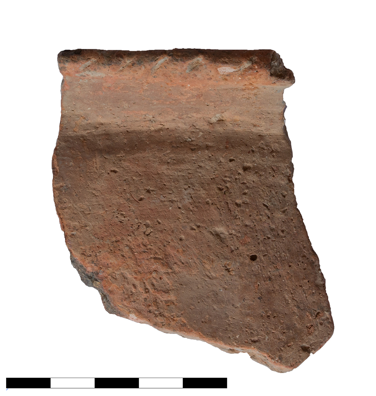 olla/ a corpo ovoide, orlo (età del bronzo recente-finale)