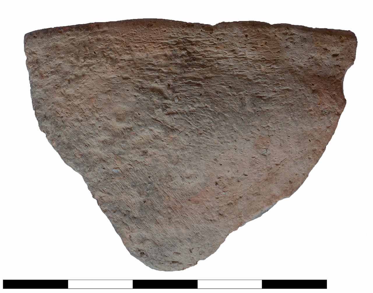 scodella/ troncoconica, orlo, parete (età del bronzo recente-finale)
