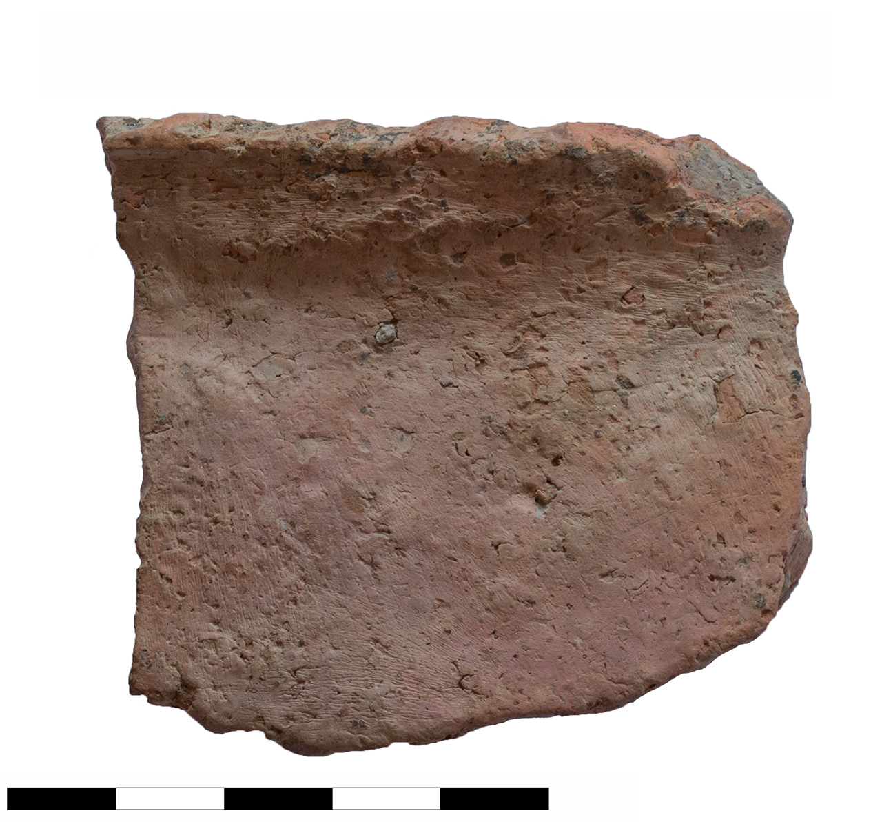 olla/ a corpo ovoide, orlo (età del bronzo recente-finale)