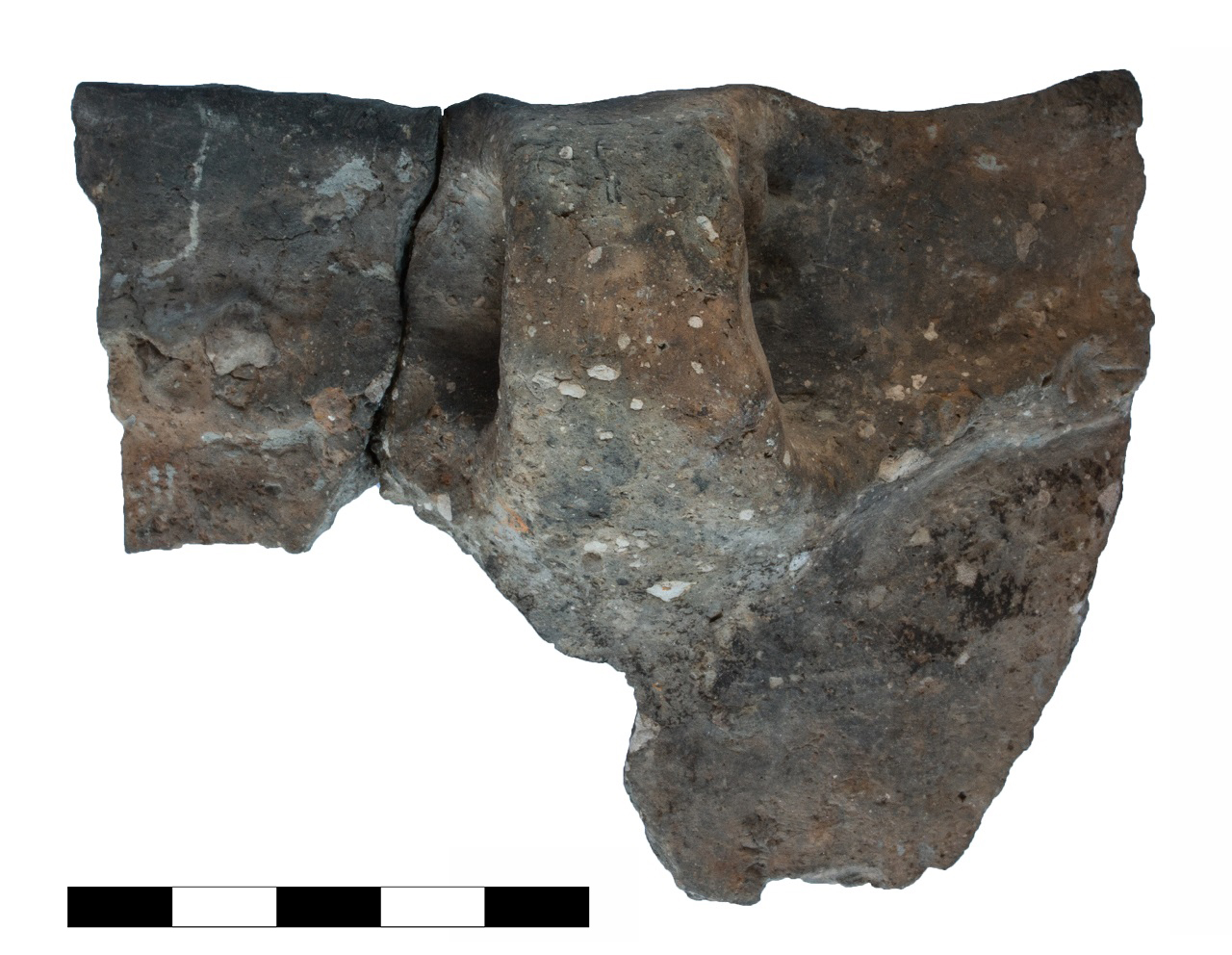 orciolo/ ansa, orlo, parete (età del bronzo recente-finale)