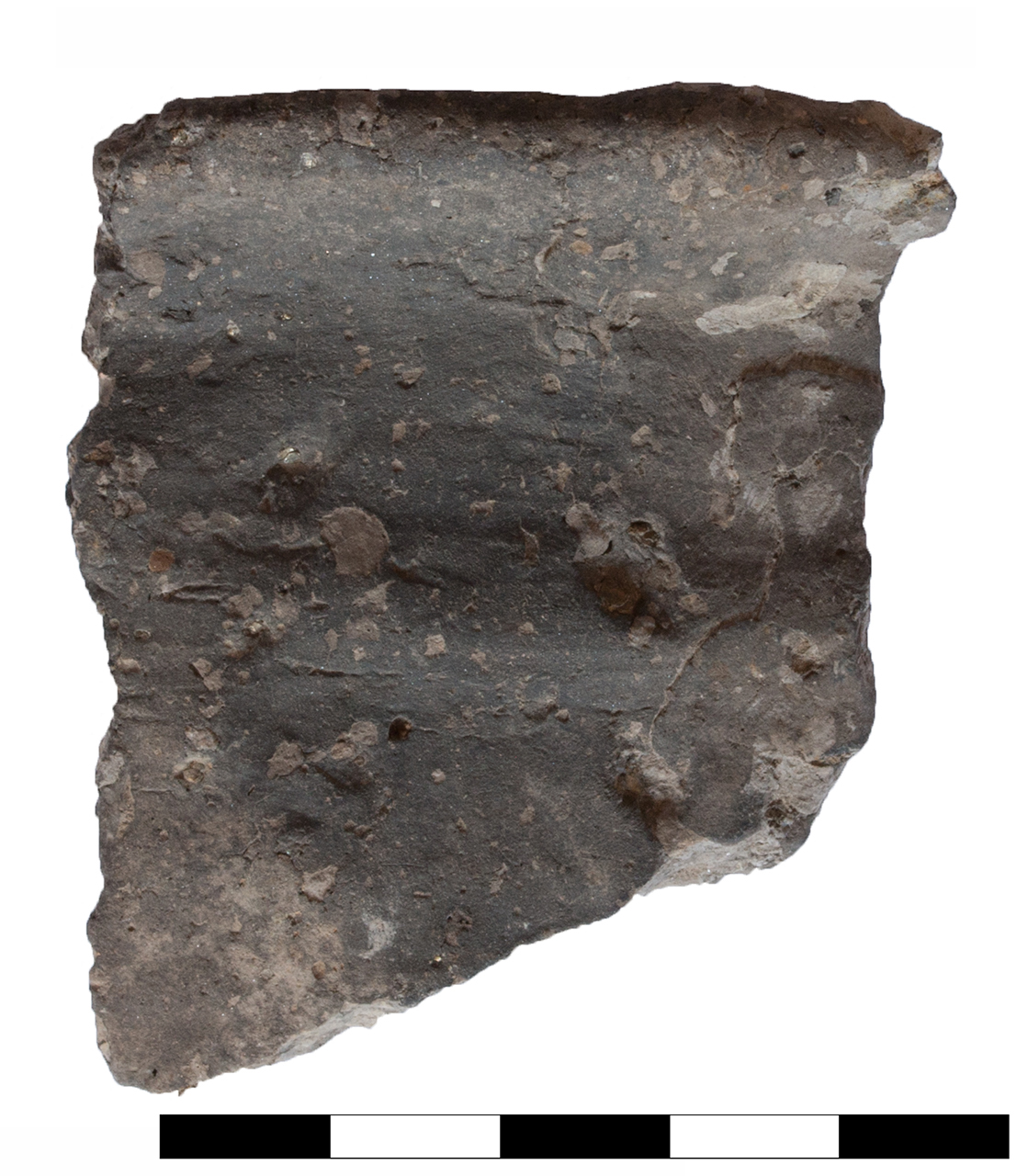 olla/ orlo (età del bronzo recente-finale)