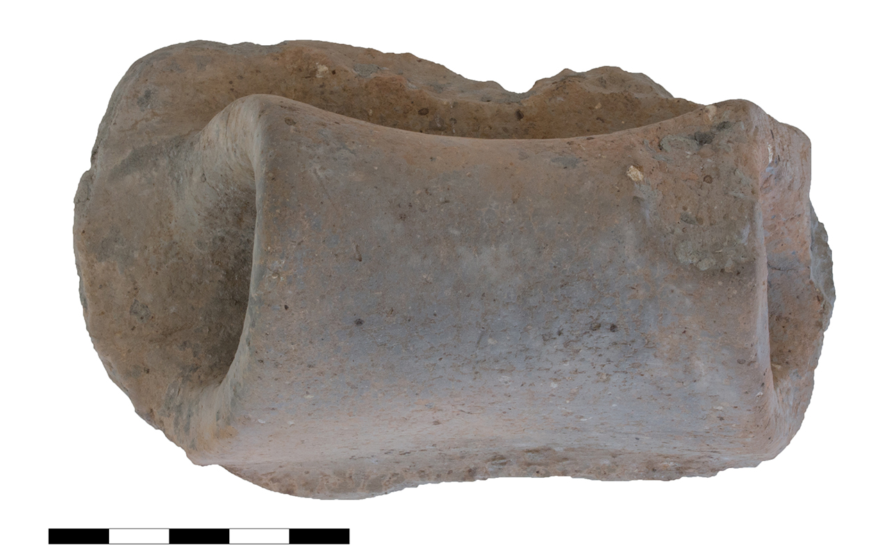 recipiente/ ansa, canaliculata (età del bronzo recente-finale)