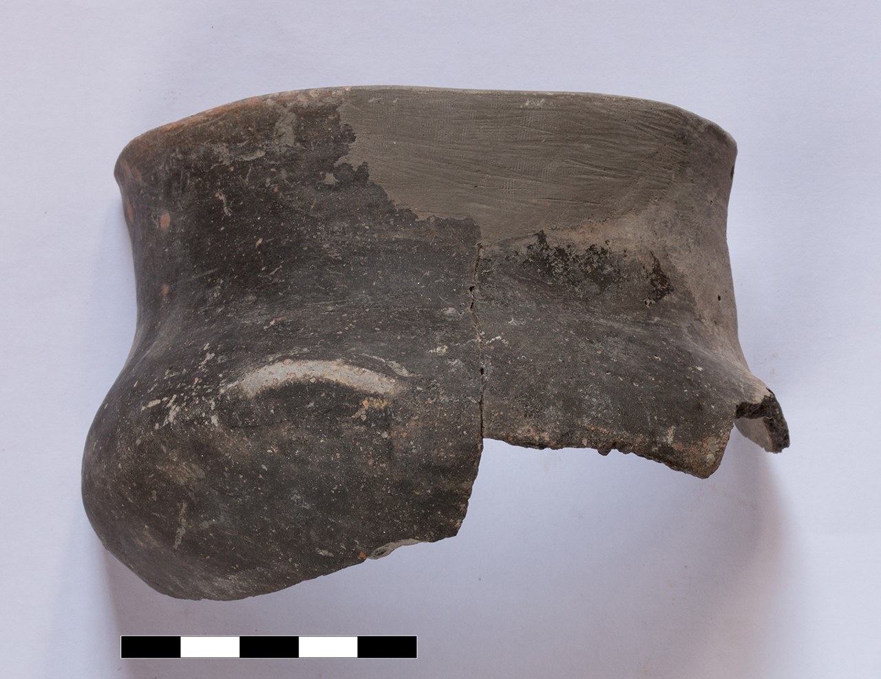 tazza/ orlo, parete (età del bronzo recente-finale)