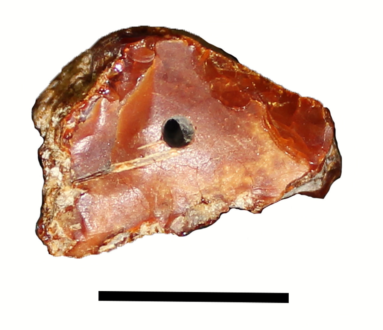 scheggia (età del bronzo recente-finale)