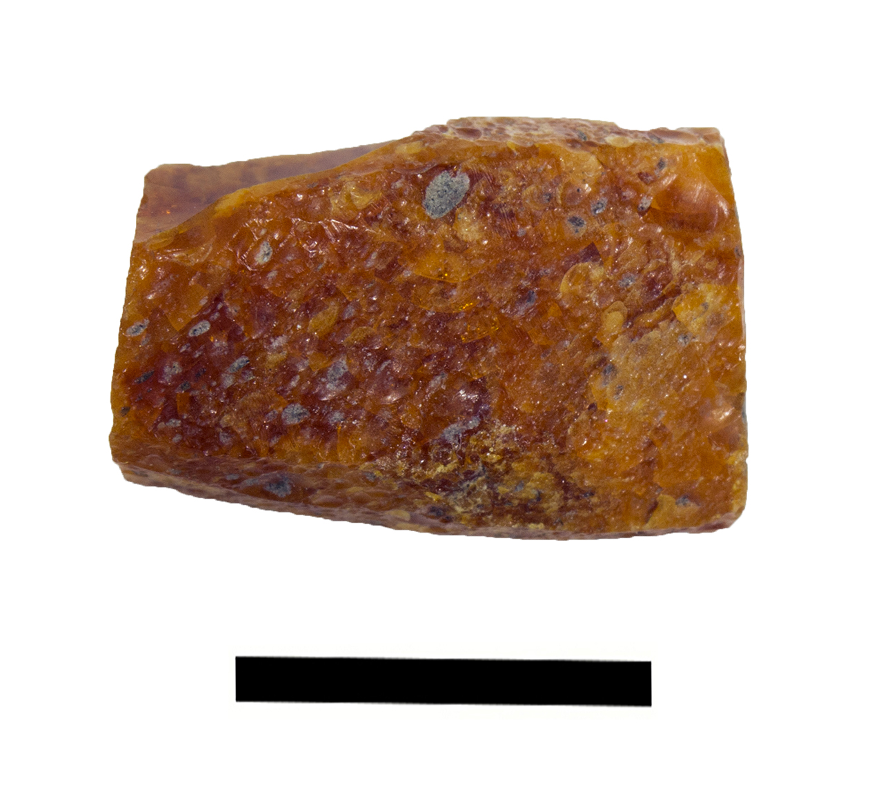 vago/ frammento (età del bronzo recente-finale)