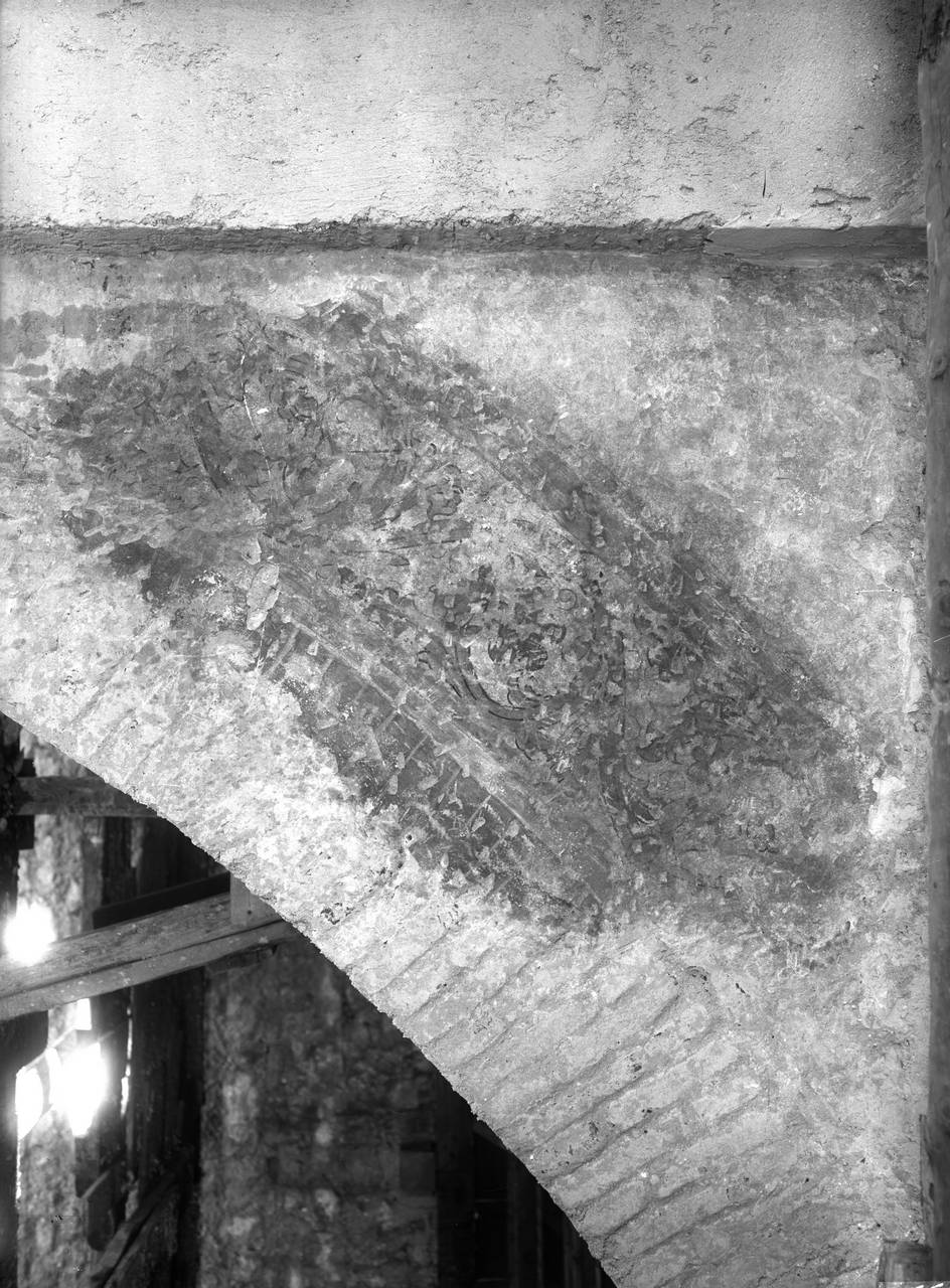 Veneto - Follina <Treviso> (negativo) di Caprioli Giovanni (XX)