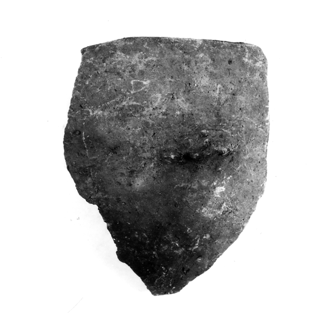 boccale troncoconico arcuato - ambito berico-euganeo (secc. XIV/ XIII a.C)