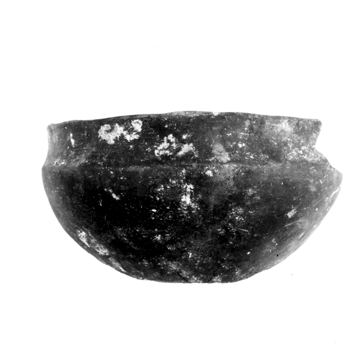 tazza carenata - ambito berico-euganeo (secc. XIII/ XII a.C)