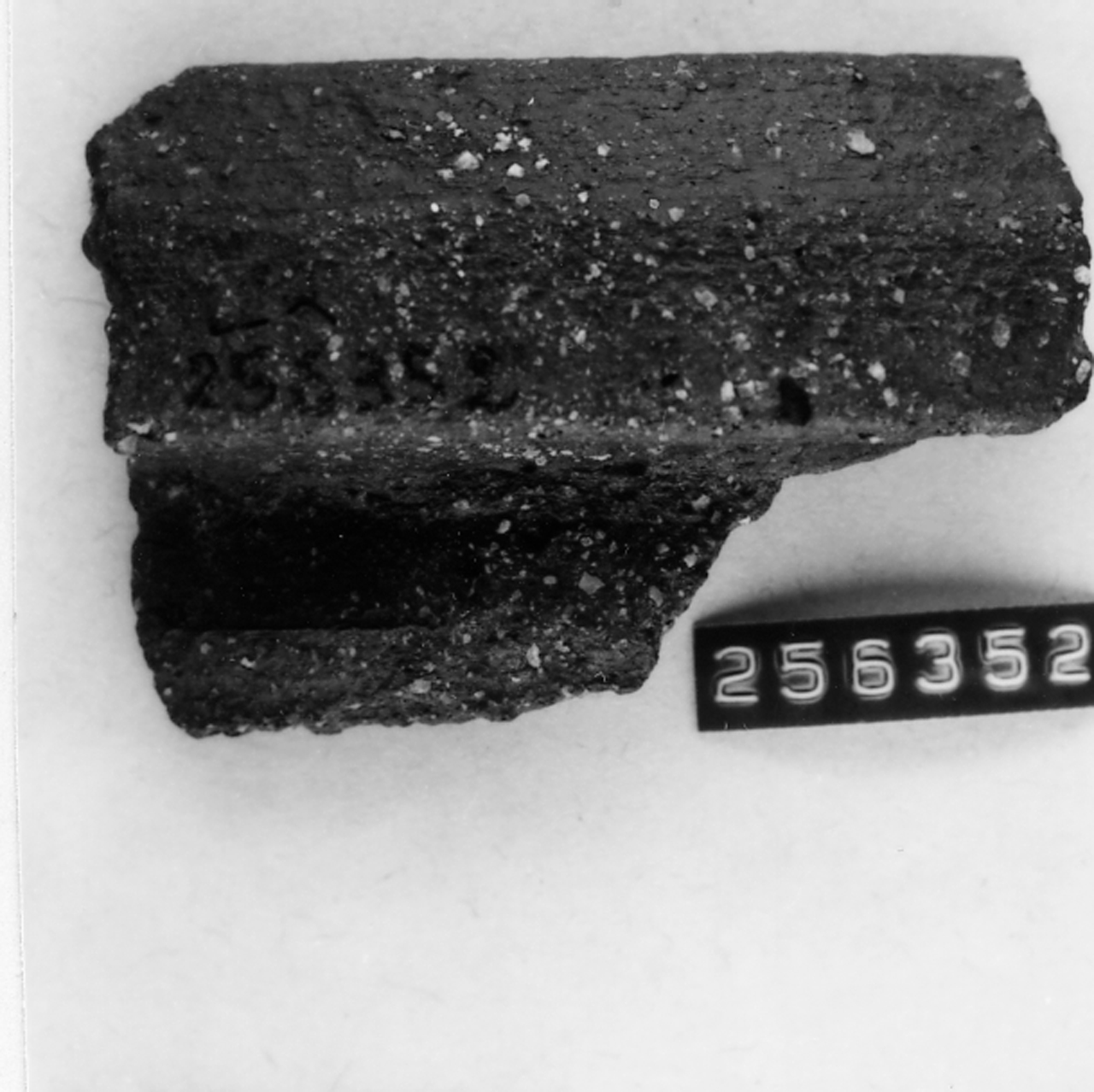 coppetta/ orlo, Coppetta (tazzina?) (secc. I/ II d.C)