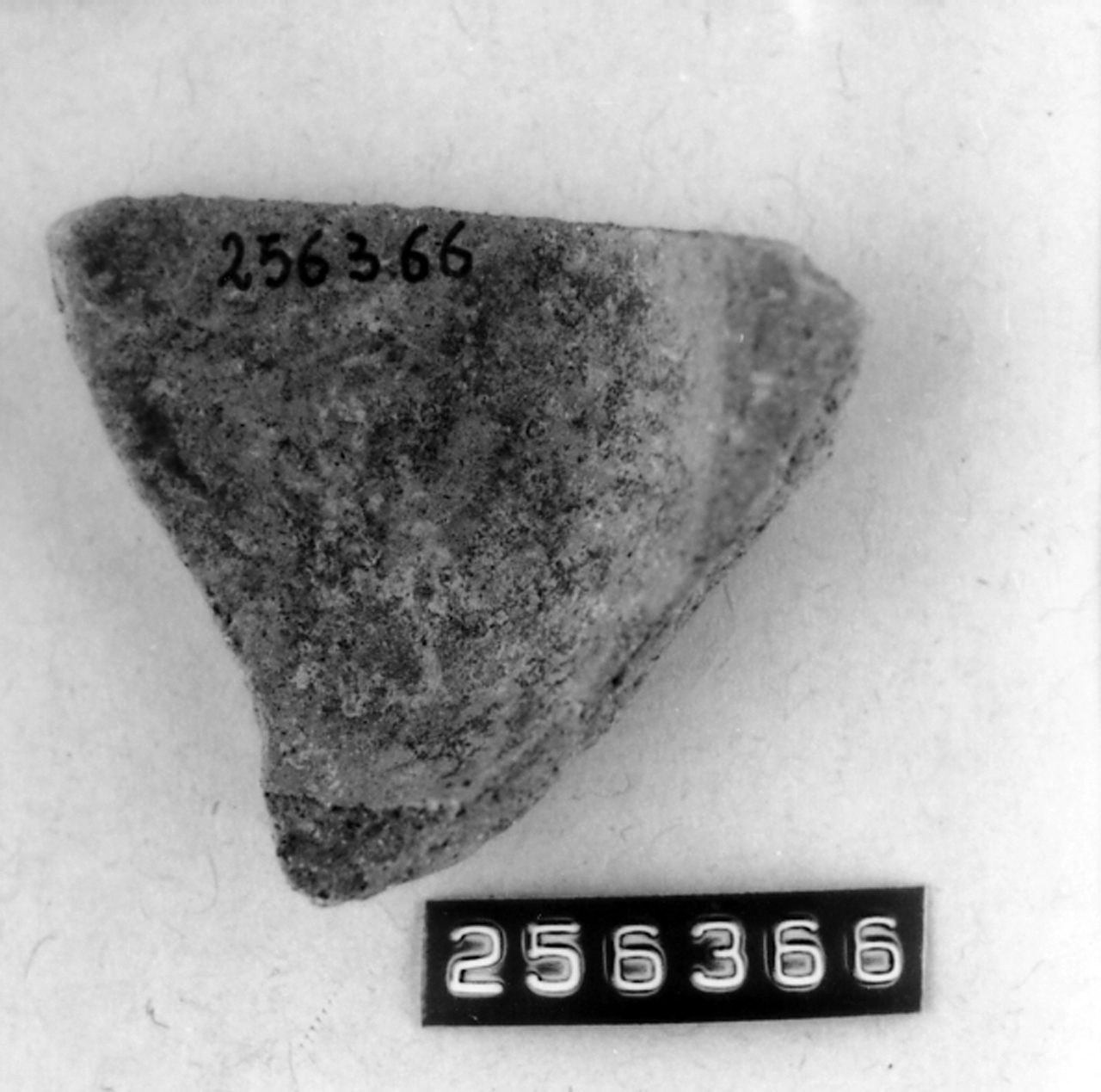 vaso/ parete - romano (secc. II a.C./ I d.C)