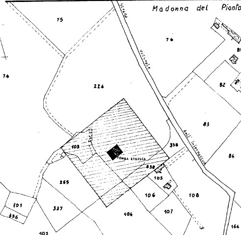 Tomba loc. Madonna del Pianto (tomba a camera ipogea, area ad uso funerario) - Tarquinia (VT)  (VII a.C)