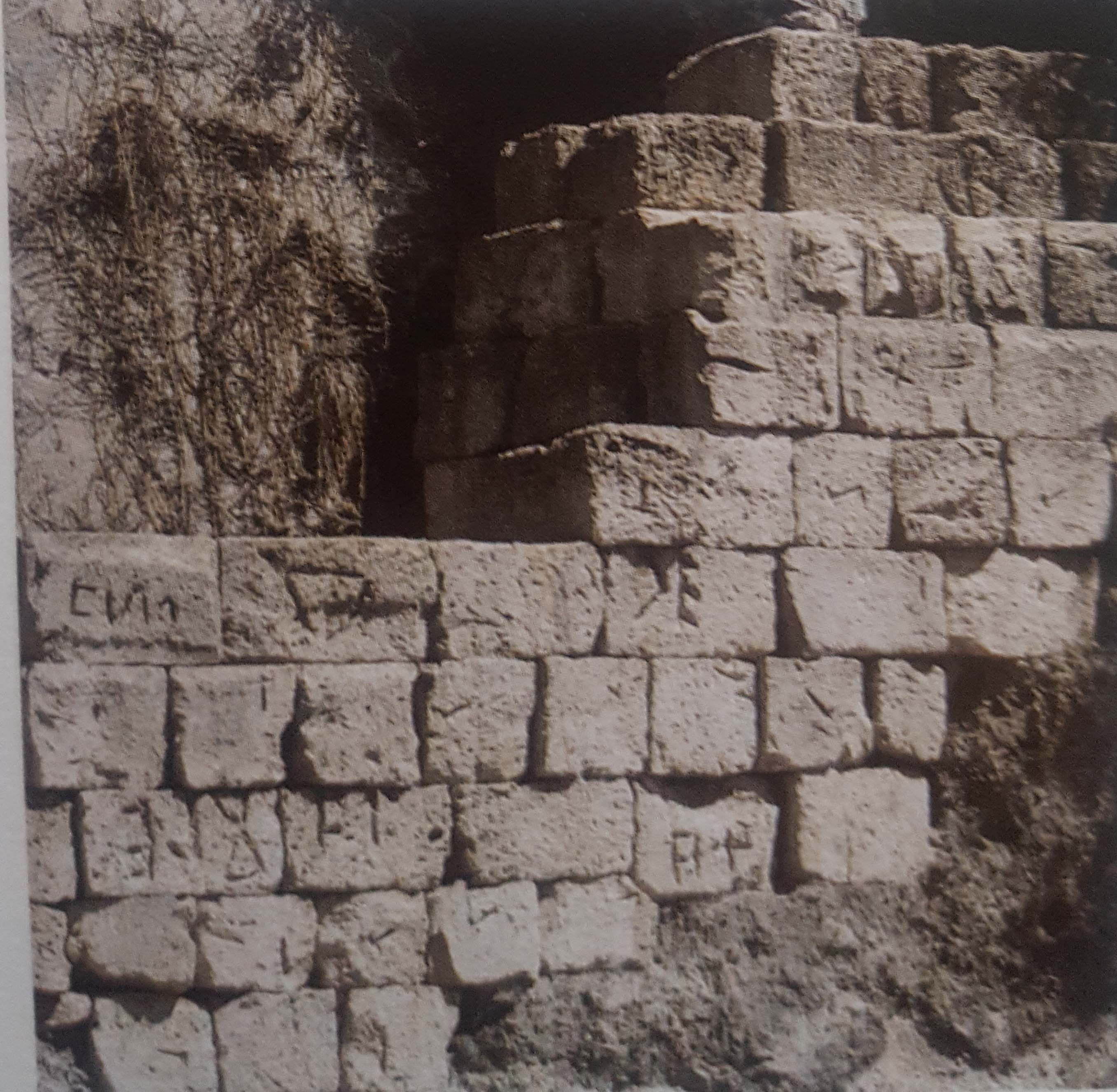 Madonna dei Cacciatori (cinta fortificativa, struttura di fortificazione) - Bolsena (VT)  (Età ellenistica)