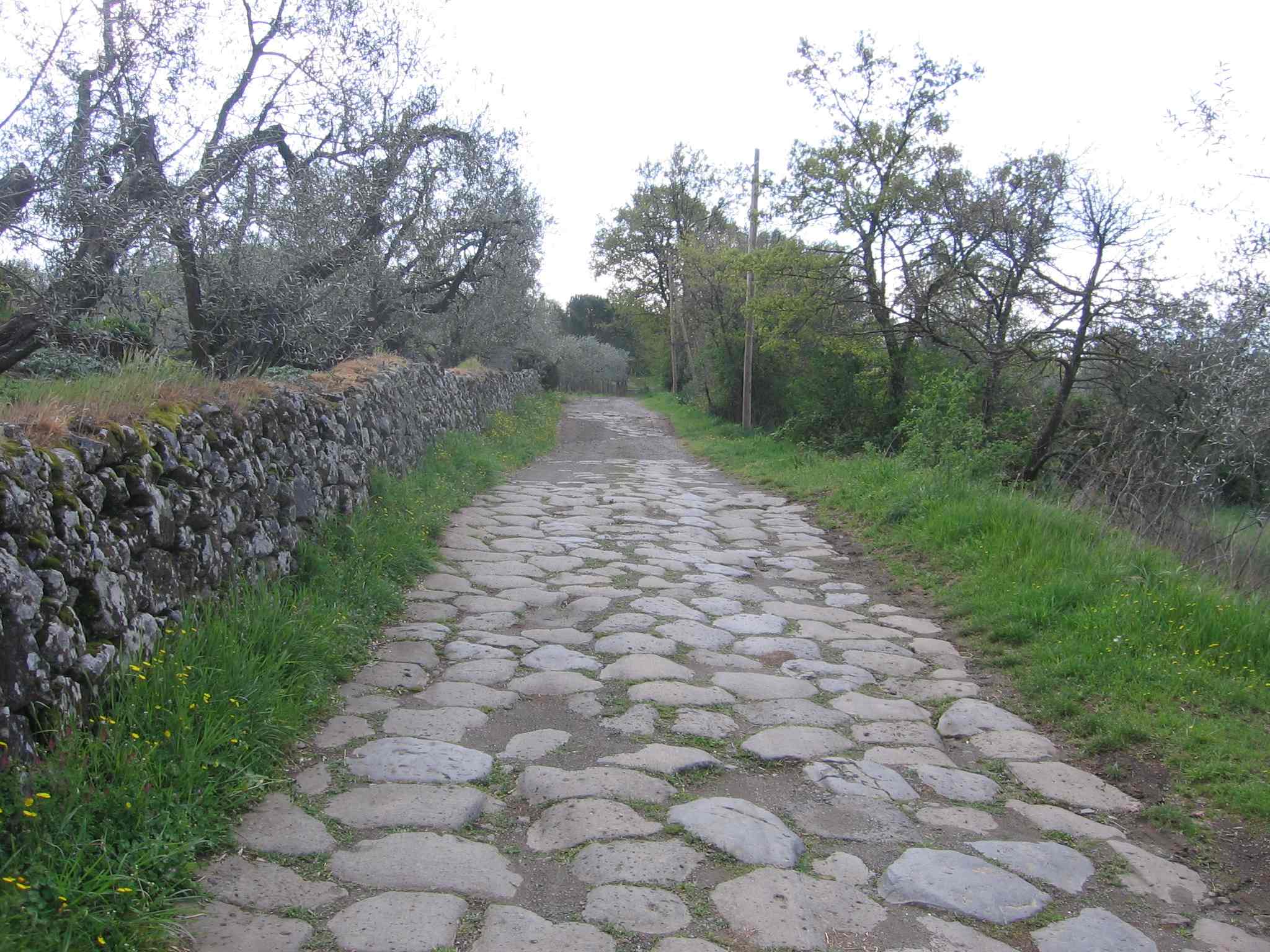 basolata e sostruzione (strada, infrastruttura viaria) - Bolsena (VT)  (Epoca Romana)