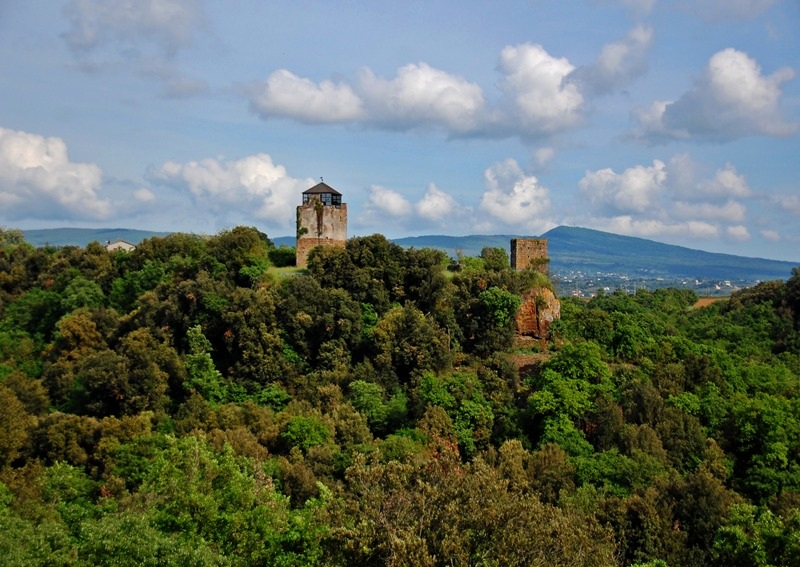 CASTEL D'ASSO (insediamento, insediamento naturalmente difeso) - Viterbo (VT)  (Bronzo medio iniziale)