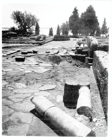 decumanus a ovest del Foro (strada, infrastruttura viaria) - Bolsena (VT)  (Età Imperiale - Altomedioevo)