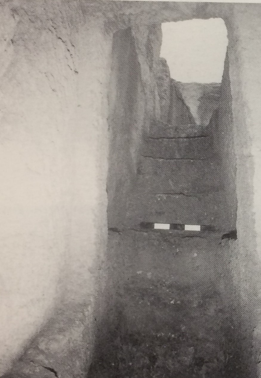 TOMBA n. 50 - Fondo Scataglini (tomba a camera ipogea, area ad uso funerario) - Tarquinia (VT)  (III-II a.C)