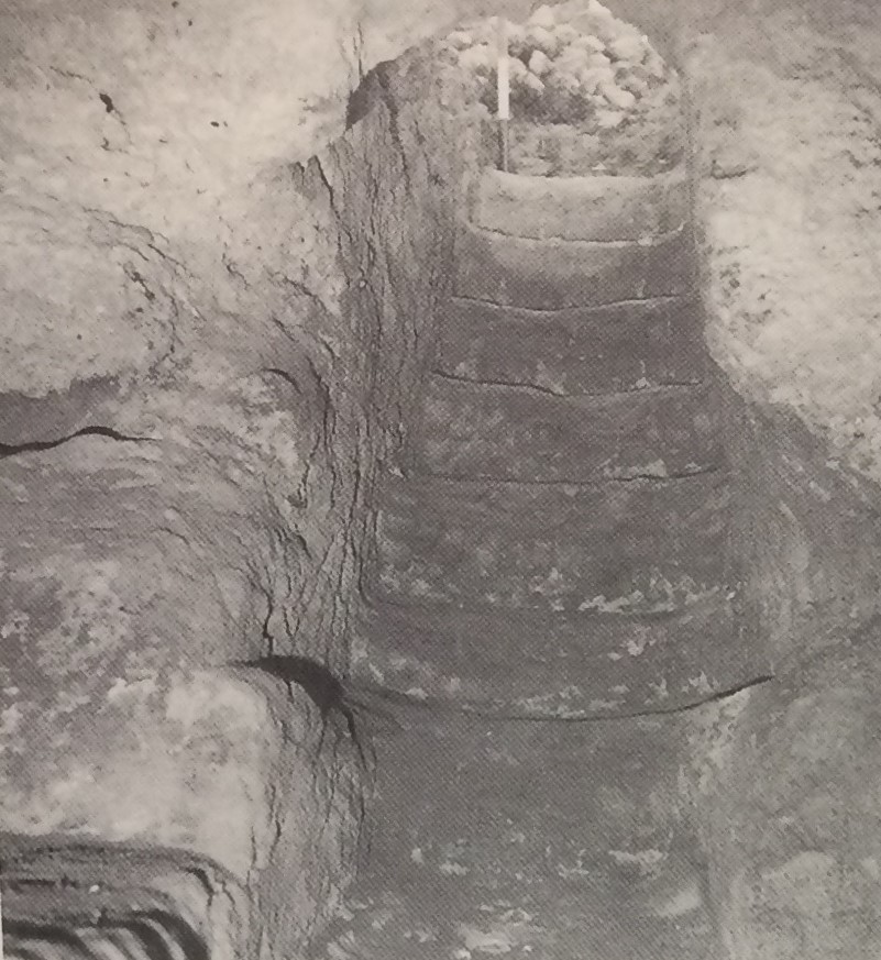 TOMBA n. 60 - Fondo Scataglini (tomba a camera ipogea, area ad uso funerario) - Tarquinia (VT)  (Età ellenistica)