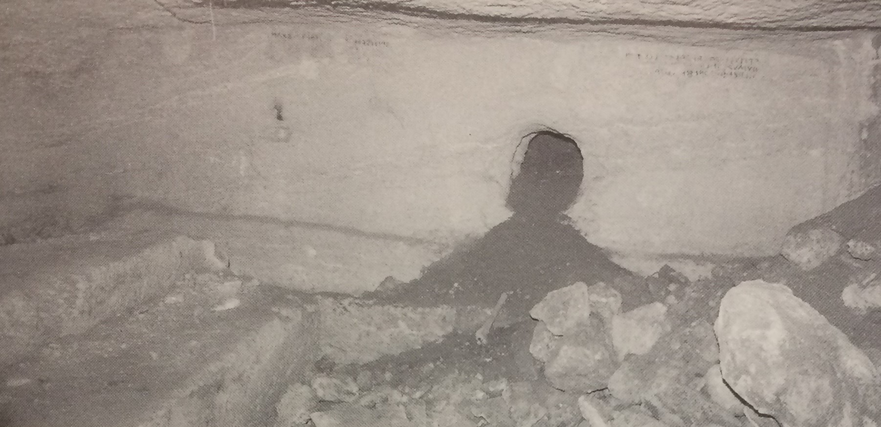 TOMBA degli SPITU - Fondo Scataglini (tomba a camera ipogea, area ad uso funerario) - Tarquinia (VT)  (III sec. a.C./ II sec. a.C)