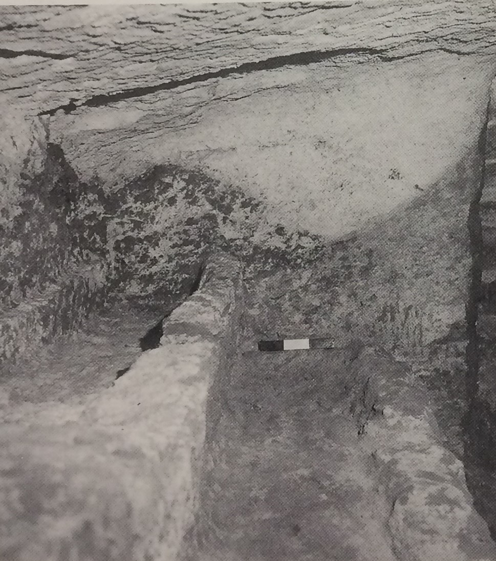 TOMBA n. 78 - Fondo Scataglini (tomba a camera ipogea, area ad uso funerario) - Tarquinia (VT)  (inizio/ metà III-I a.C)