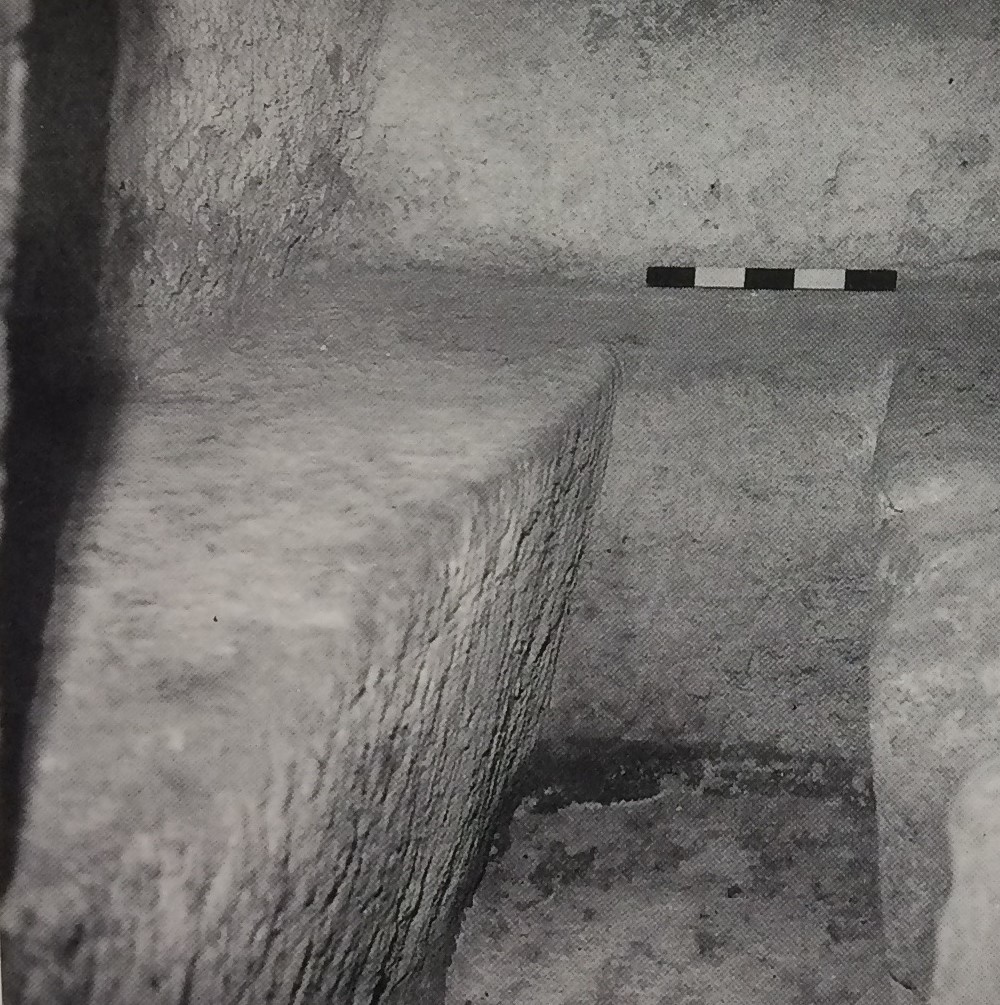 TOMBA n. 80 - Fondo Scataglini (tomba a camera ipogea, area ad uso funerario) - Tarquinia (VT)  (III a.C)