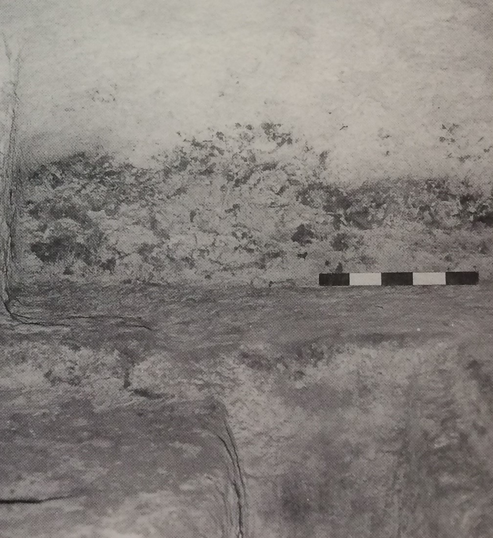 TOMBA n. 81 - Fondo Scataglini (tomba a camera ipogea, area ad uso funerario) - Tarquinia (VT)  (Età ellenistica)