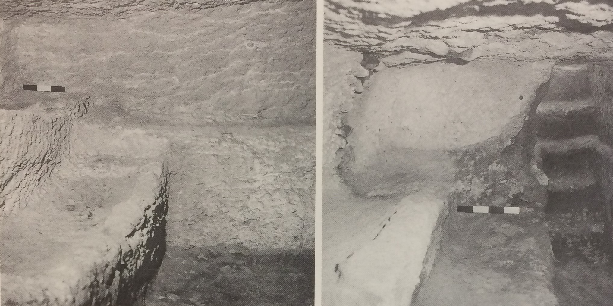 TOMBA n. 82 - Fondo Scataglini (tomba a camera ipogea, area ad uso funerario) - Tarquinia (VT)  (III a.C)