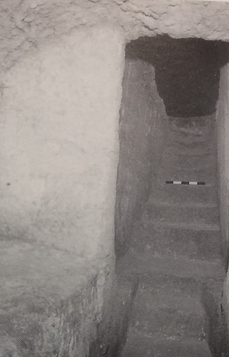 TOMBA n. 85 - Fondo Scataglini (tomba a camera ipogea, area ad uso funerario) - Tarquinia (VT)  (Età ellenistica)