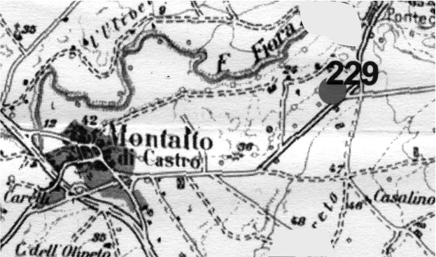 Breccetelli (insediamento, insediamento naturalmente difeso) - Montalto di Castro (VT)  (Età del Bronzo antico)