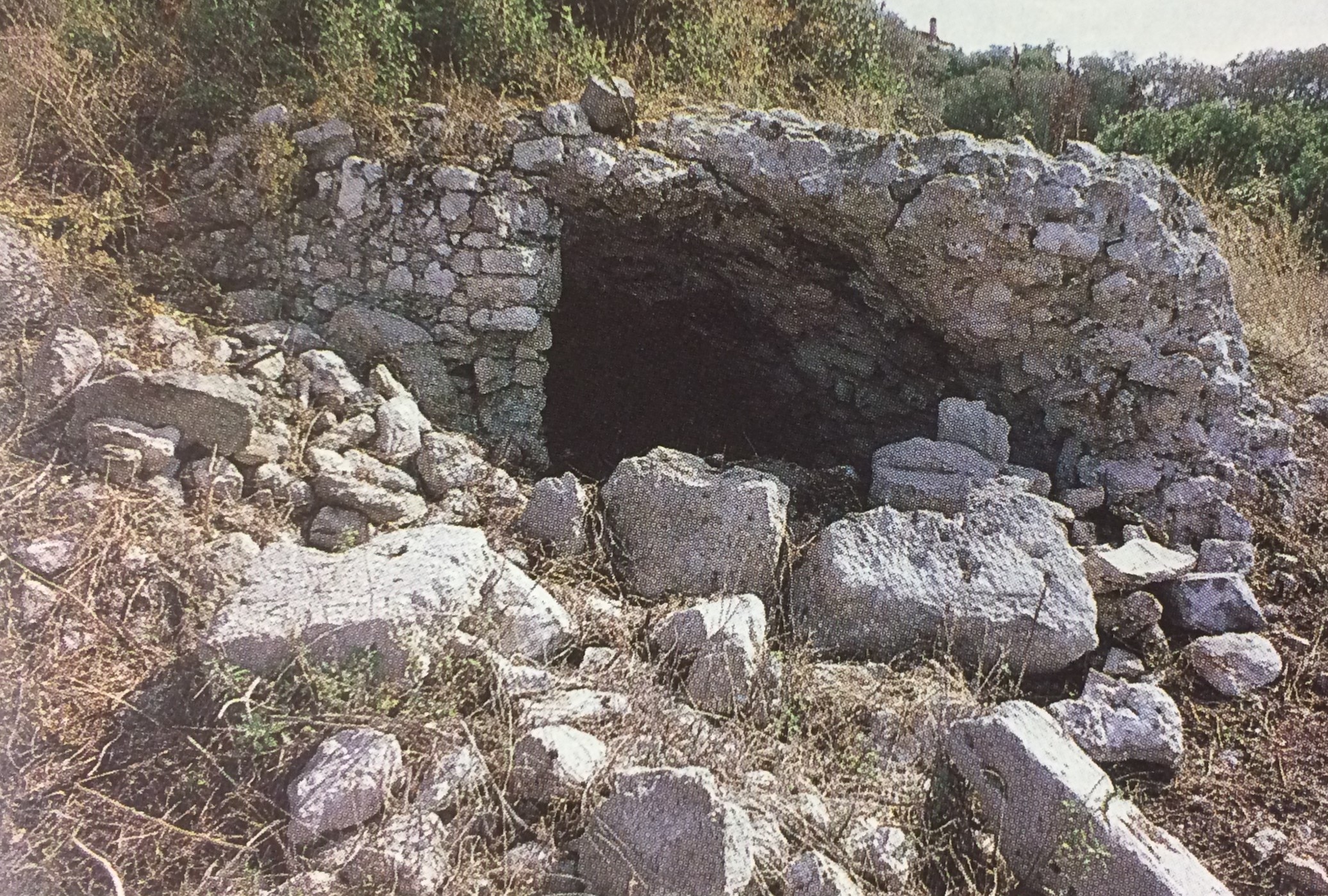 Strutture romane VILLA FALGARI (strutture murarie, struttura abitativa) - Tarquinia (VT)  (fine I a.C)