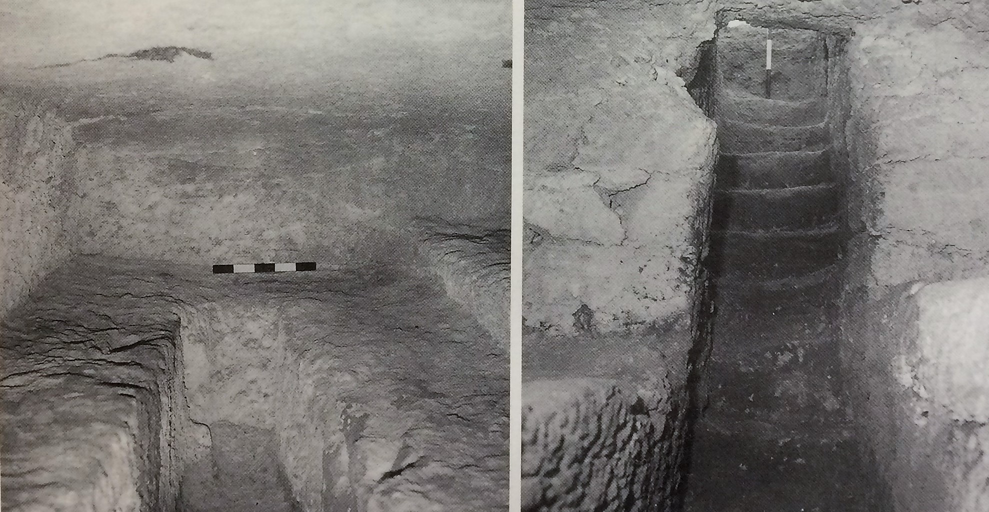 TOMBA n. 83 - Fondo Scataglini (tomba a camera ipogea, area ad uso funerario) - Tarquinia (VT)  (III sec. a.C./ II sec. a.C)