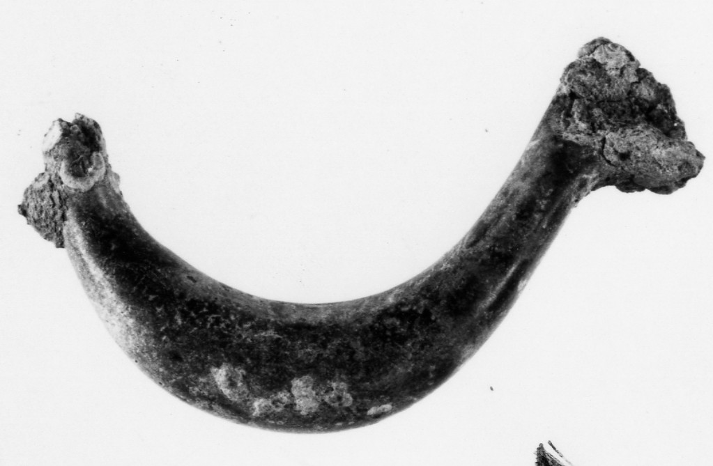fibula/ arco - produzione apula (secc. VI-IV a.C)