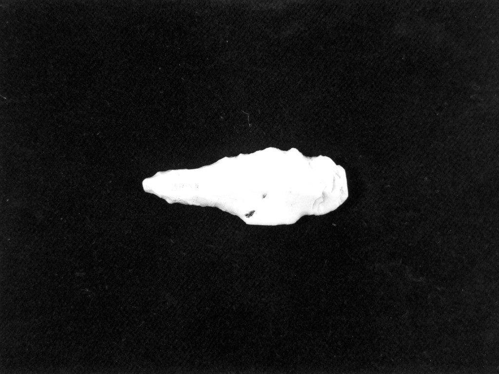 punta a dorso totale (Neo-Eneolitico)