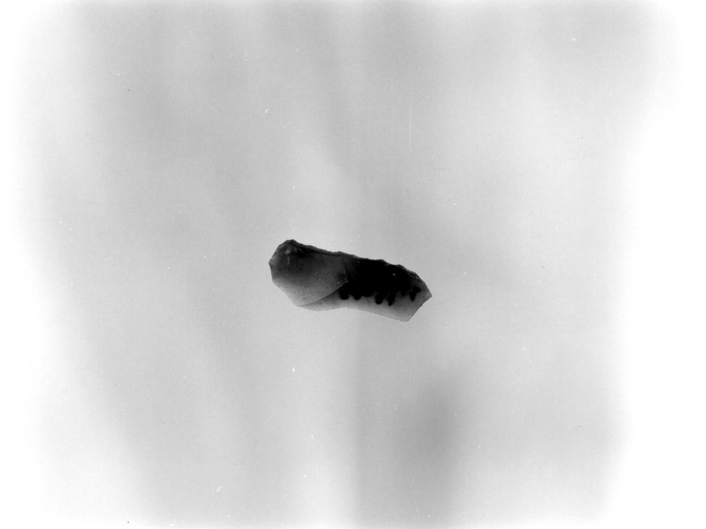 lama a dorso (Neo-Eneolitico)