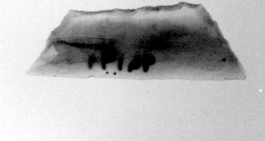 geometrico a segmento trapezoidale (Neo-Eneolitico)