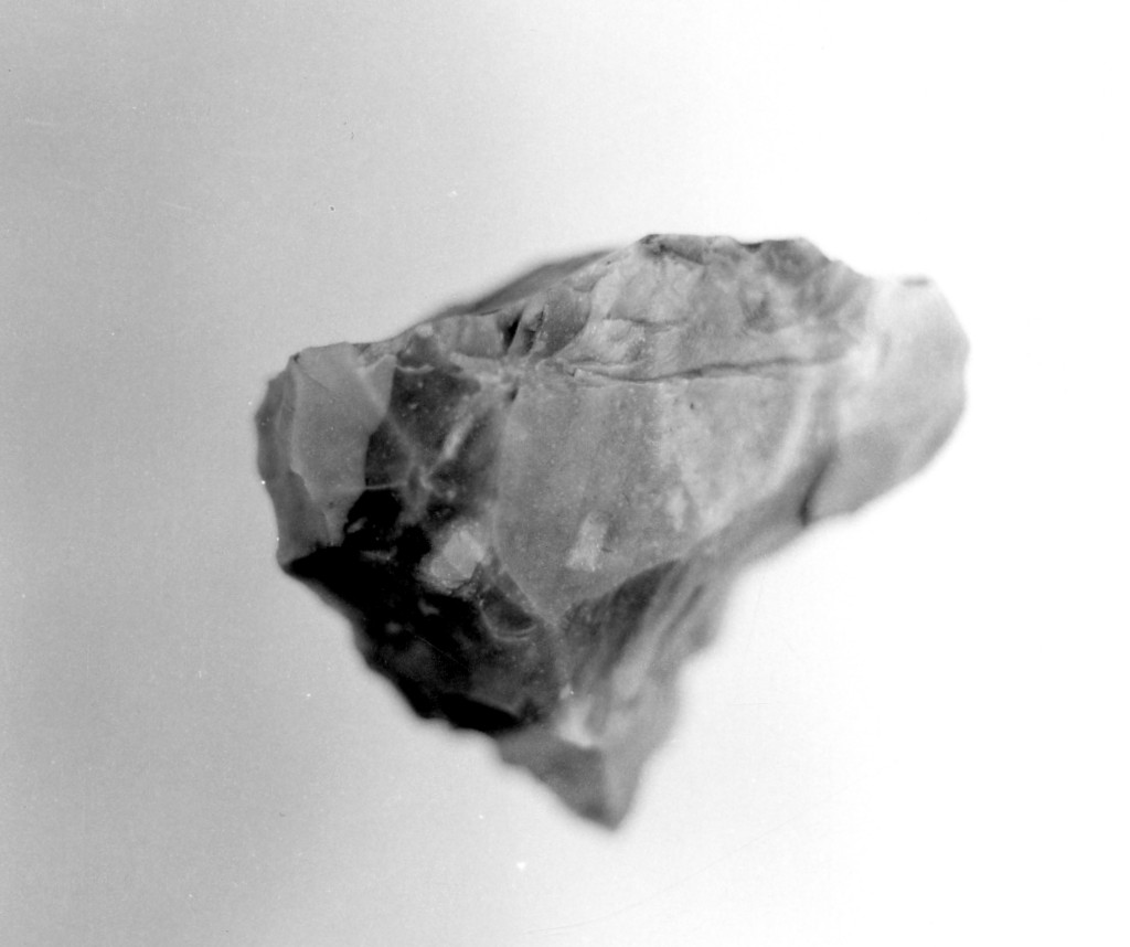 accetta (Neo-Eneolitico)