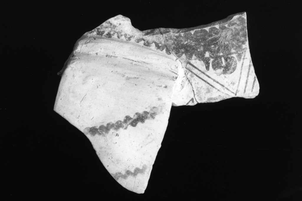 recipiente/ frammento (Neolitico Medio)